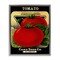 Stupell Industries Vintage Gardening Tomato Floating Frame By Lil' Rue